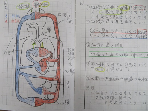 お知らせ ニュース 城星学園小学校 カトリックミッションスクール 大阪市中央区